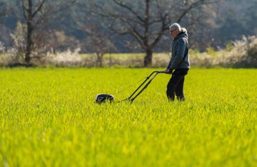 Mowing the lawn can reduce the risk of cancer