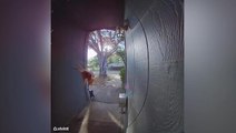 Bizarre moment wasp ‘rings’ doorbell camera
