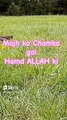 #Beautiful Hamd#Beautiful Nature#Beautiful World#Shorts#Shorts with Lyrics#Youtube# (6)