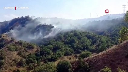 Ankara’nın Çubuk ilçesinde orman yangını