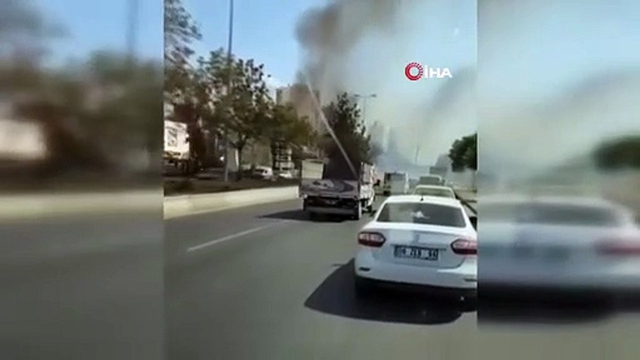 Les arbres du terre-plein ont brûlé dans les flammes de la capitale