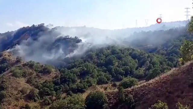 Un incendie de forêt s'est déclaré dans le district de Çubuk à Ankara