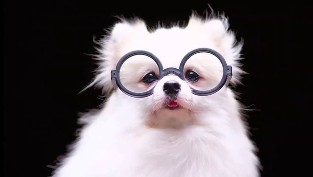 4K HDR 60FPS Dolby Vision IQ - OLED Demo