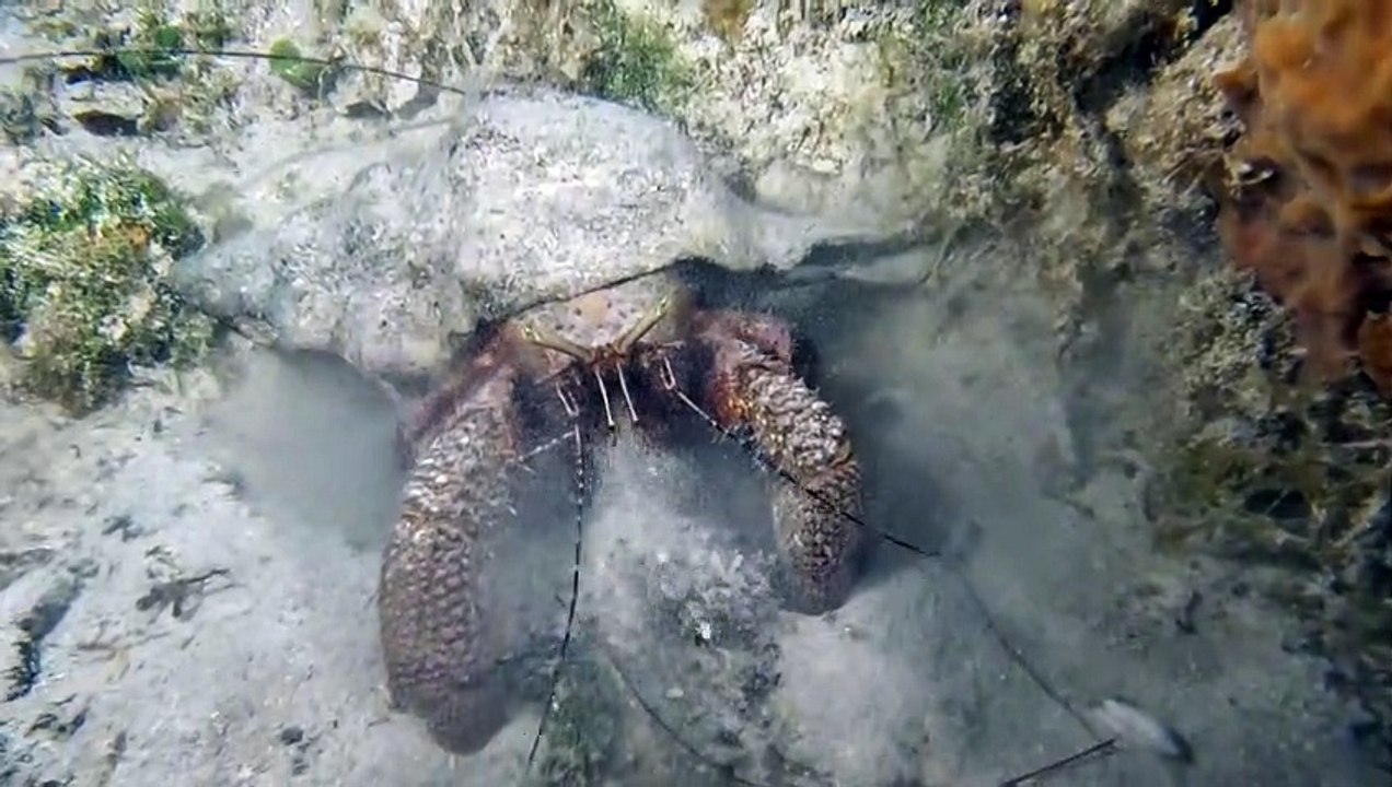 Underwater Excavation