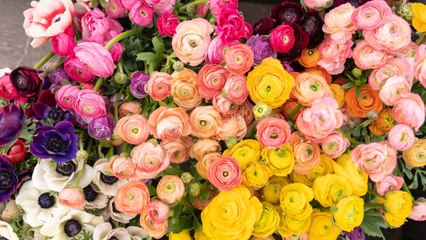 Create the Perfect Display for Your Flowers—Bottle Them In Baby Oil