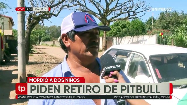 Pitbull que mordió a un niño, atacó a otro menor semanas atrás; los dueños no ayudan con curaciones, denuncian vecinos