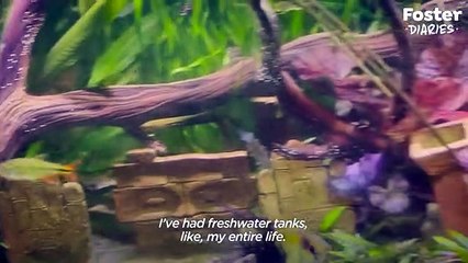 Woman Rescues Eel Swimming Upside Down At Pet Store   The Dodo Foster Diaries