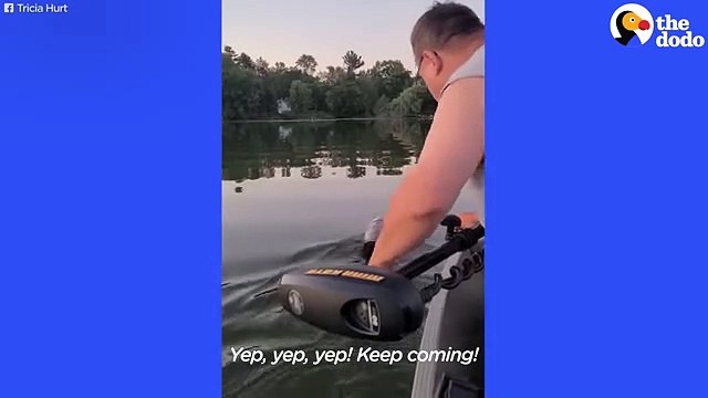 Baby Bears Who Got Stuck Needed A Little Help The Dodo