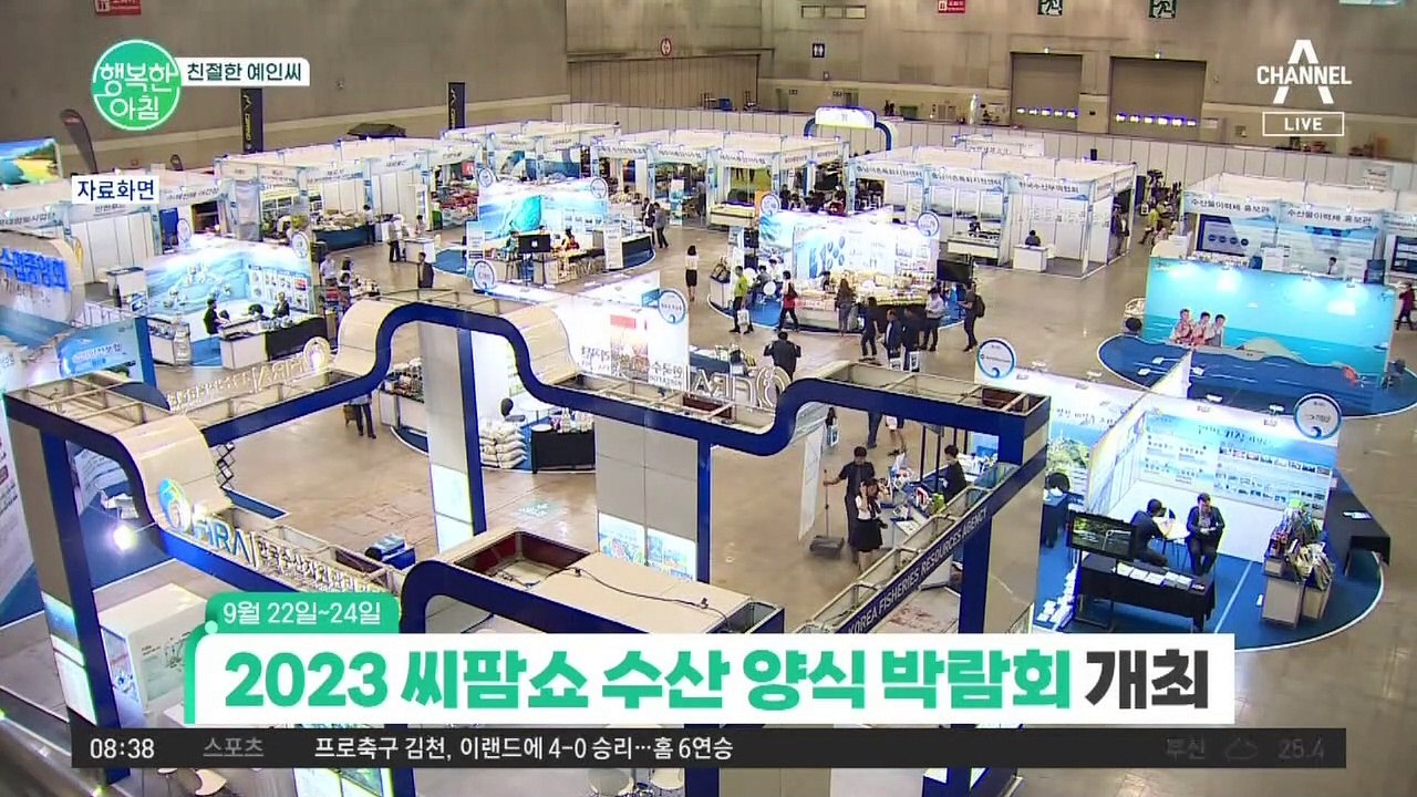 [친절한 예인씨] 수산물 요리 대회! 2023 씨팜쇼 수산 양식 박람회 개최(9월 2...