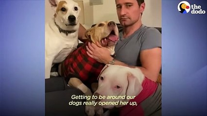 Dog Who Had No Idea How To Play Invents A Game With A Cat   The Dodo Foster Diaries