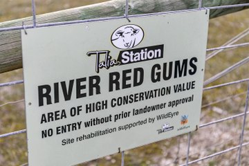 Talia (Eyre Peninsula) | August 16, 2023 | Farmonline