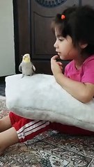 Parrot copies his owner