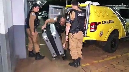 Cavalaria apreende mala com 41 mil dólares em produtos dermatológicos