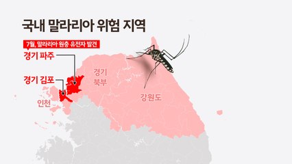 폭염·폭우 지나고 온 말라리아 모기...국내 첫 경보 [앵커리포트] / YTN