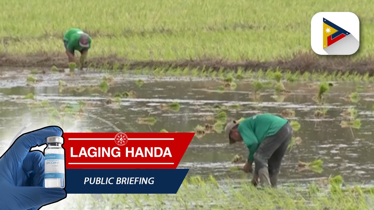 Produksiyon ng palay, tumaas sa unang 6 na buwa...