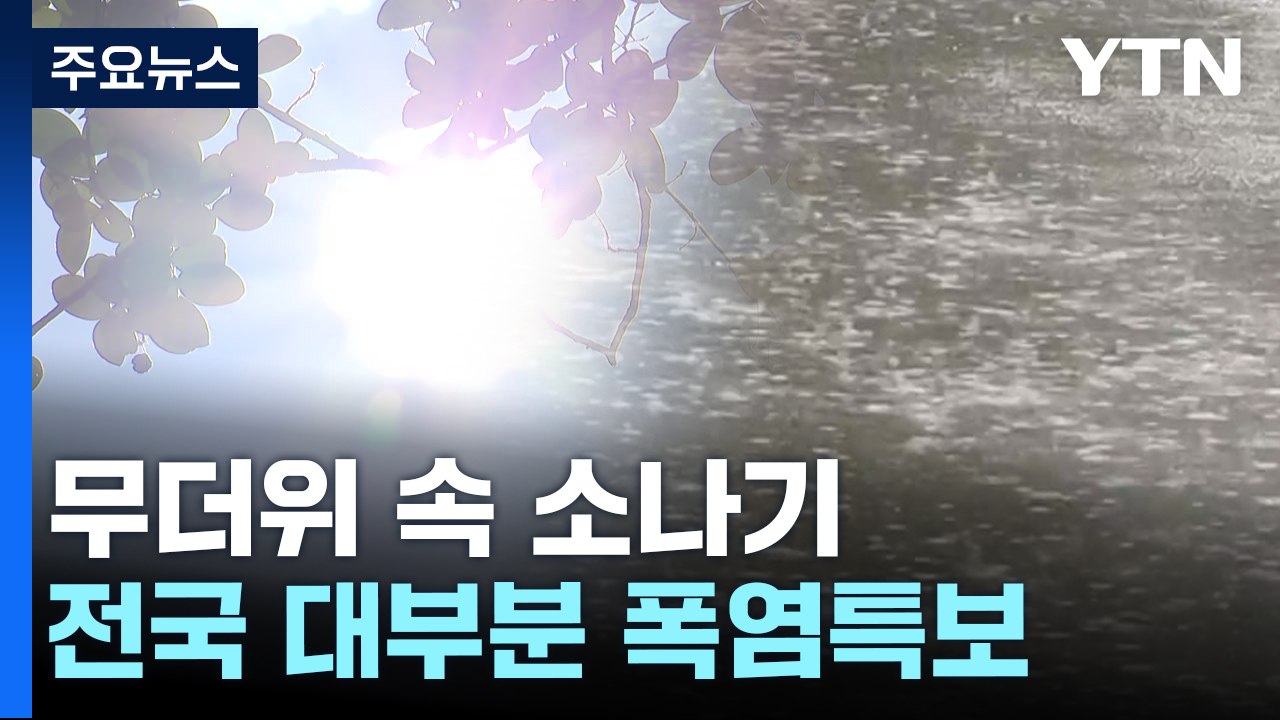 [날씨] 무더위 속 곳곳 소나기...동해안 더위 주춤, 너울 유의 / YTN