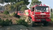 Denizli’deki orman yangınında 20 hektar alan kül oldu