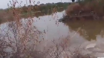 एटा: बम्बा की पटरी कटने से सैकड़ों बीघा फसल जलमग्न, किसान परेशान