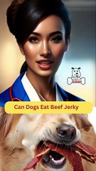 Can Dogs Eat Beef Jerky | Dog Food Review | Zudaan