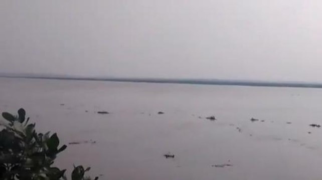 खगड़िया: कोशी का जलस्तर में वृद्धि से ग्रामीण भयभीत, जमींदारी बाँध पर टिकी नजर