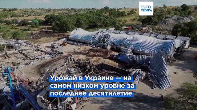 Куда девать украинское зерно?