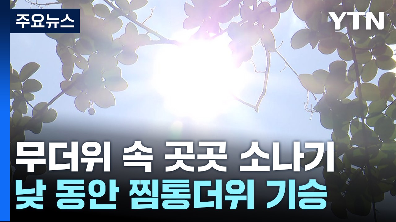 [날씨] 내일도 무더위 속 곳곳 소나기... 동해안 '너울' 유의  / YTN
