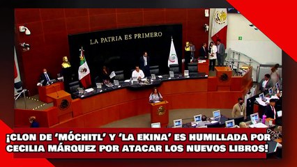 ¡VEAN! ¡Clon de ‘Móchitl’ y ‘Ekina’ es humillada por Cecilia Márquez por atacar los nuevos libros!