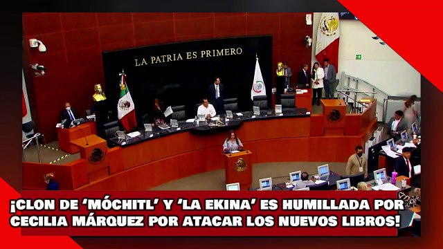 ¡VEAN! ¡Clon de ‘Móchitl’ y ‘Ekina’ es humillada por Cecilia Márquez por atacar los nuevos libros!