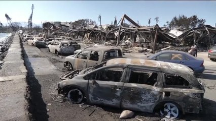 Hawai: destrucción y desolación