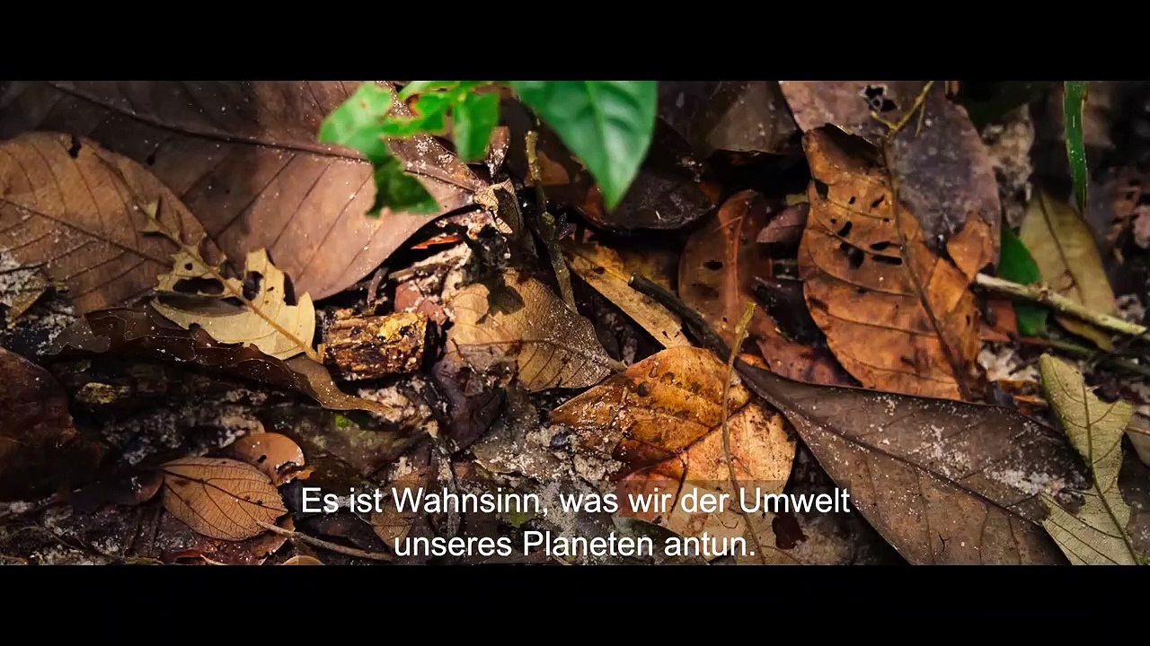 Inside Greenpeace – Was braucht es, um die Welt zu retten? Trailer OmdU