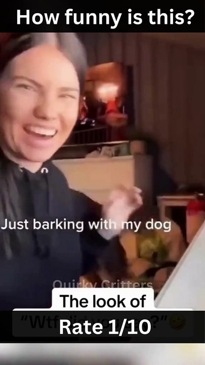 Funny Animals #shorts #memes #funnycats  #dankmemes #memedaily #viral  #funnyanimals #funnydogs