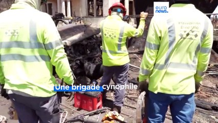 Le fournisseur d’électricité est-il responsable de l’incendie dévastateur à Hawaï ?