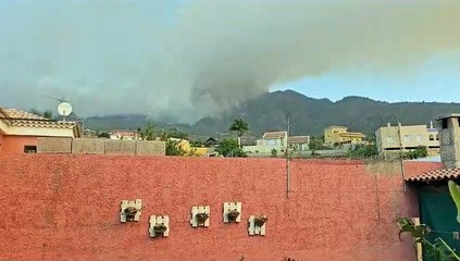 Incendio en Candelaria y Arafo