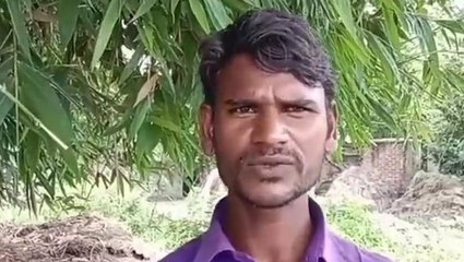 शाहजहांपुर: भैंसो के ऊपर टूट कर गिरी हाईटेंशन विद्युत लाइन, तीन की हुई मौत