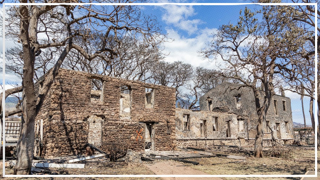 Biden will Hawaii besuchen - mehr als 100 Tote bei Brandkatastrophe