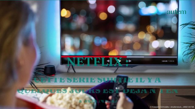 Netflix : cette série sortie il y a seulement quelques jours est déjà n°1 en France !