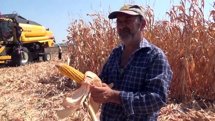 Les producteurs de maïs réagissent à la non-divulgation du prix de base