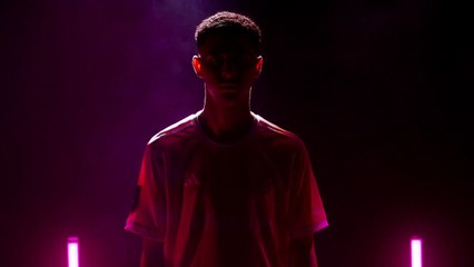 Anuncio de Nadir por Porcinos