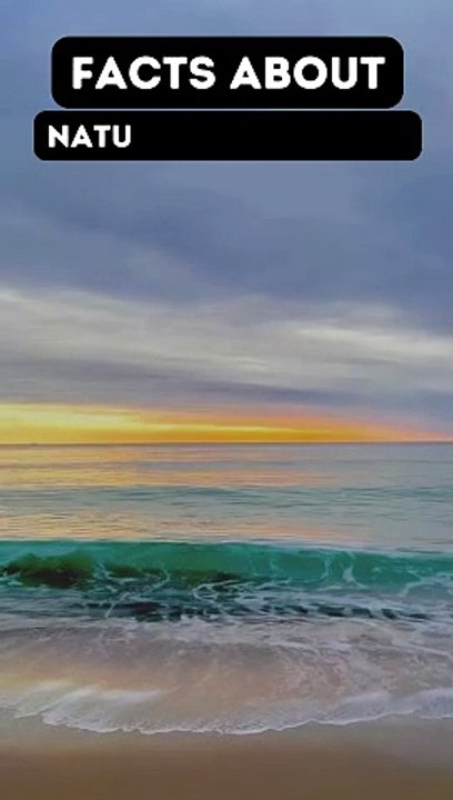 Interesting And Informative Fact About Nature and Wildlife #viral #trending