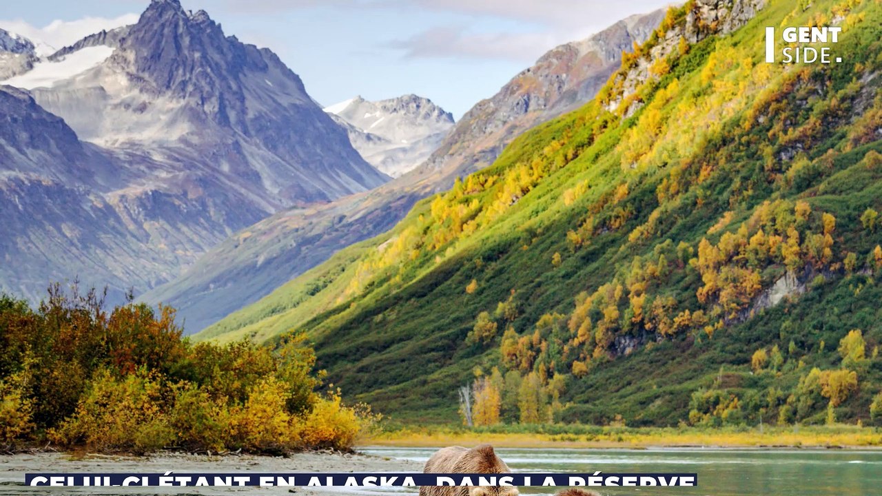 D'incroyables empreintes de dinosaures "à bec de canard" trouvées par des chercheurs