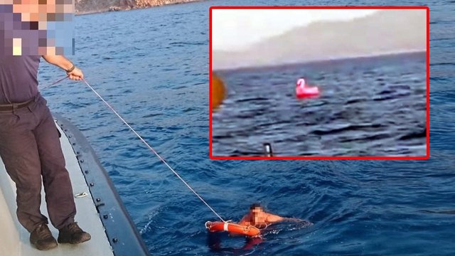 Flamingo simitle denizde kayboldu