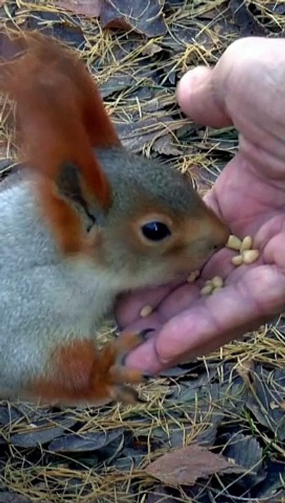 ÇA FAIT TOUJOURS LE MÊME EFFET !!!