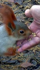 ÇA FAIT TOUJOURS LE MÊME EFFET !!!