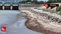 Su krizi yaklaşıyor: İstanbul'daki barajlar yüzde 33.37 doluluk seviyesinde