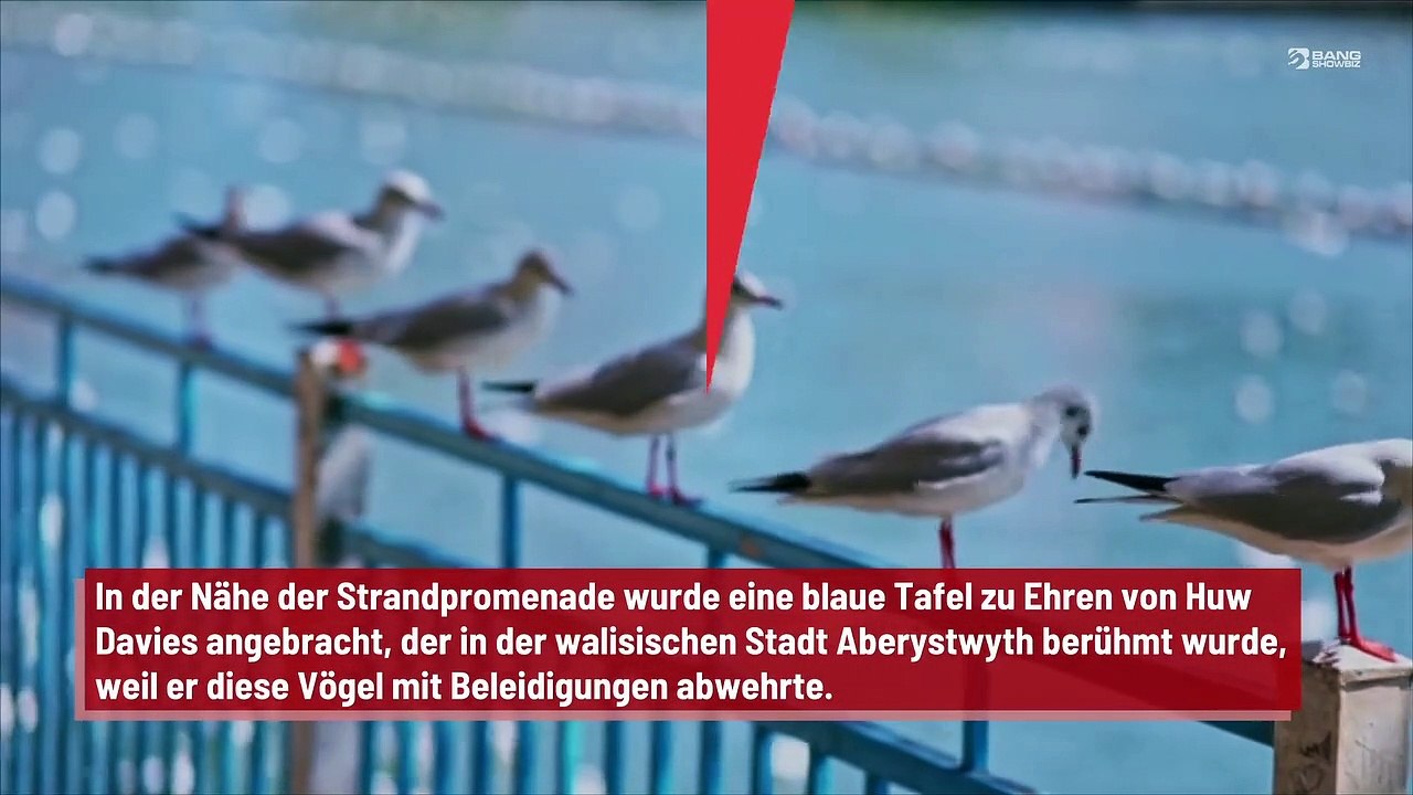 Gedenktafel für Möwen-Hasser