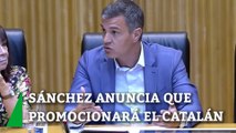 Pedro Sánchez anuncia que promocionará el euskera, el catalán y el gallego en las instituciones europeas