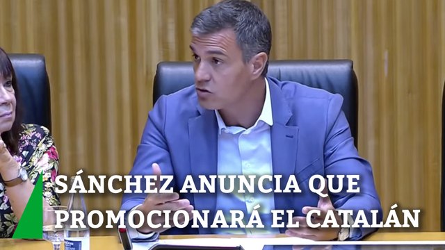 Pedro Sánchez anuncia que promocionará el euskera, el catalán y el gallego en las instituciones europeas
