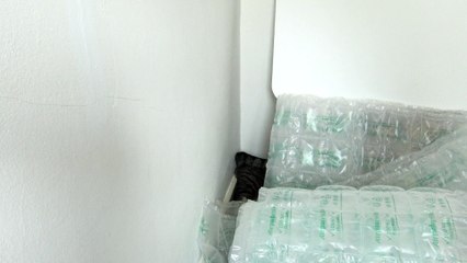 This Funny Cat Thinks He Has Hidden