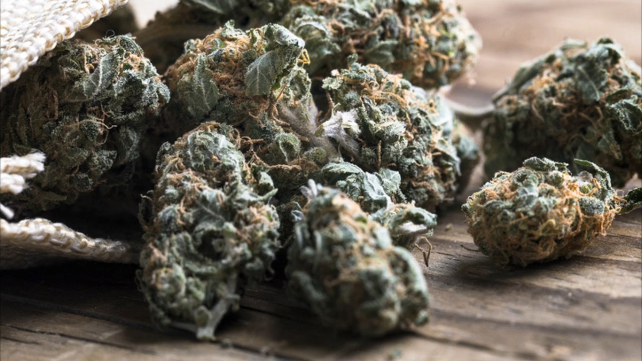 Bundeskabinett beschließt gesetz zur cannabis-legalisierung