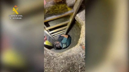 La Guardia Civil rescata un perro en Tarancón